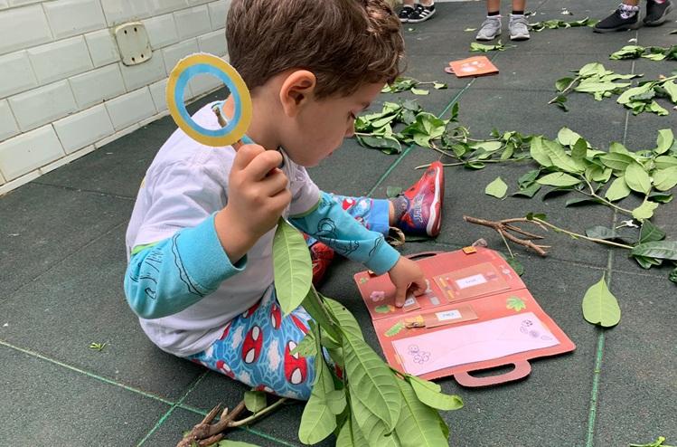 natureza bem vivida 2