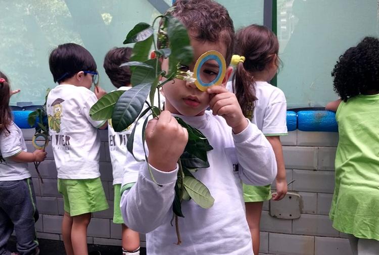 natureza bem vivida 3