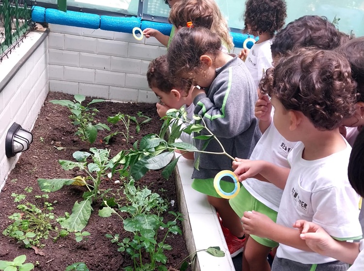 natureza bem vivida 4