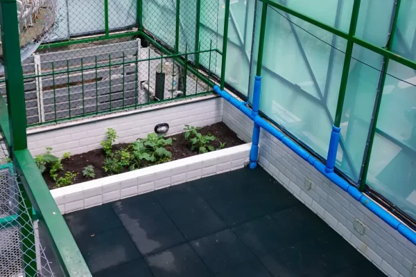 solario e1756404157774